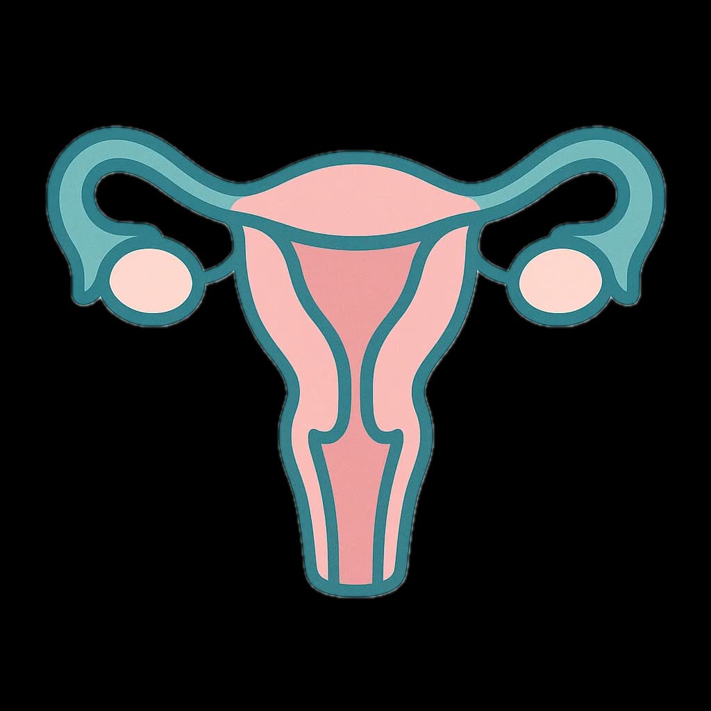 Gynecology & Women's Health  Treatment in India