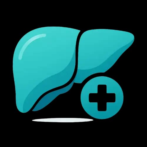 Liver Transplant