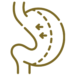 Minimally Invasive & Bariatric Surgery Centre