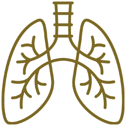 Pulmonology & Critical Care Centre